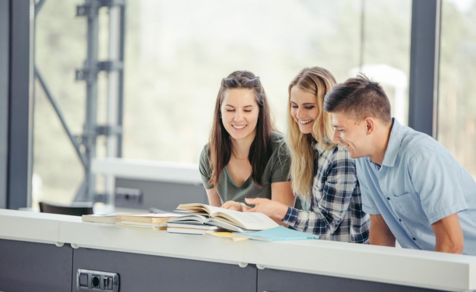 Sesión de trabajo en equipo planificando estrategias educativas